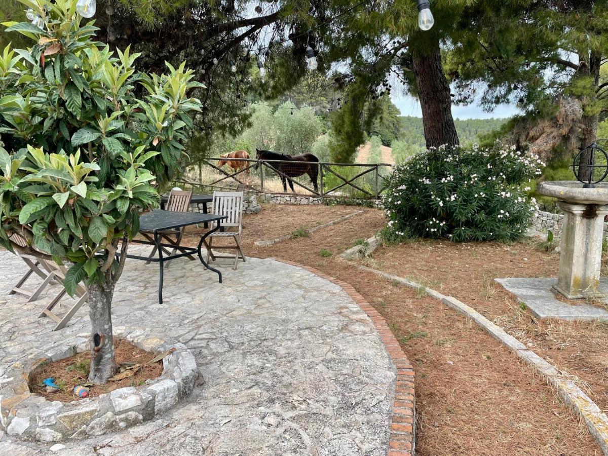 Novecento Country House Вьесте Экстерьер фото